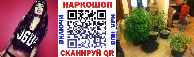 Где можно купить наркотики Дзержинск Бошки Шишки Гашиш