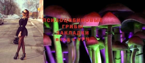 молекула духа Лагань