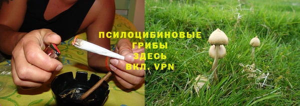 молекула духа Лагань
