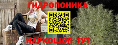 прущие грибы Краснознаменск