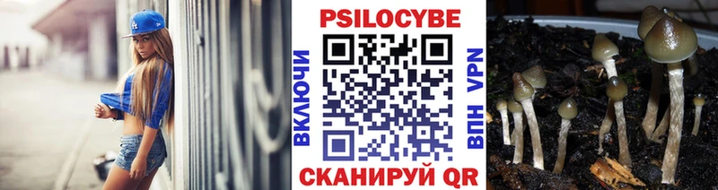 Галлюциногенные грибы Psilocybe  Дзержинск 